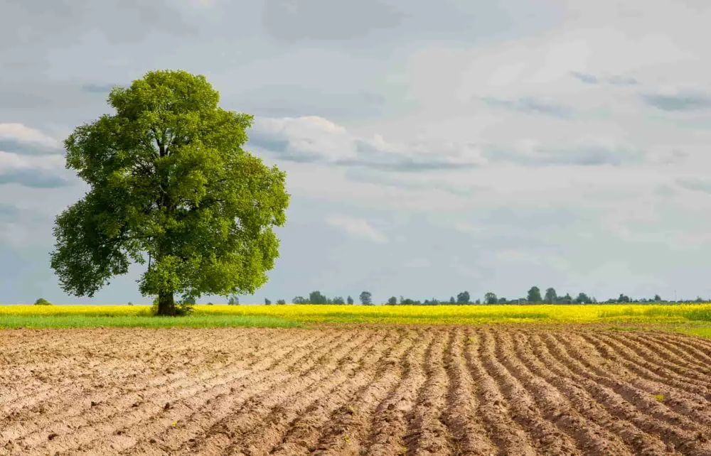 Why 2026 Is the Best Time to Invest in Land